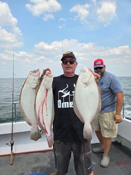 Halibut fishing in 