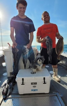 Black Seabass, Flounder Fishing in Barnstable, Massachusetts