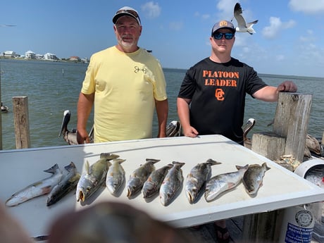 Speckled Trout / Spotted Seatrout fishing in Galveston, Texas