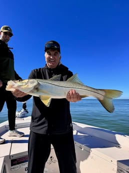 Fishing in Sarasota, Florida