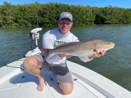 Redfish fishing in Fort Myers, Florida