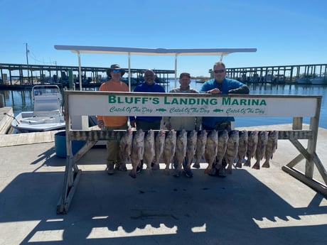 Black Drum fishing in Corpus Christi, Texas