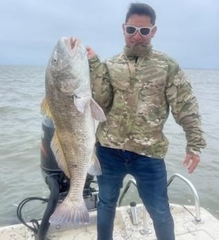 Black Drum Fishing in Galveston, Texas