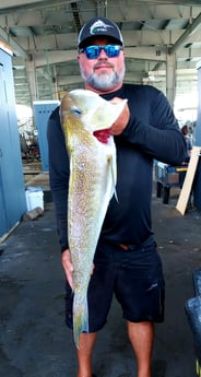 Tilefish fishing in Galveston, Texas