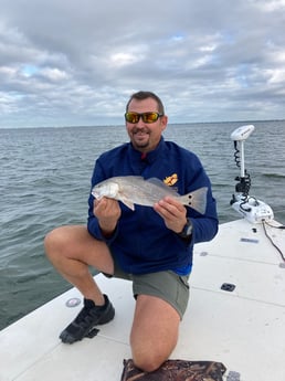 Redfish Fishing in Sarasota, Florida