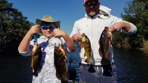 Peacock Bass fishing in Fort Lauderdale, Florida