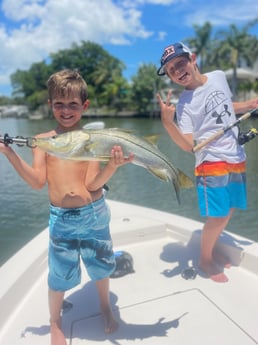 Snook fishing in Sarasota, Florida