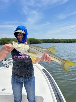 Snook Fishing in Clearwater, Florida