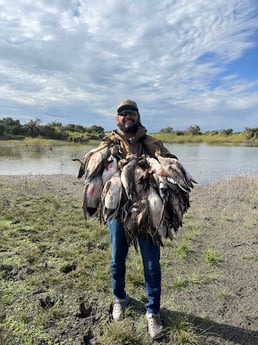 Dove, Gadwall, Northern Pintail, Quail Fishing in Harlingen, Texas