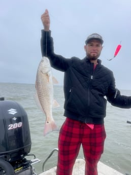 Redfish Fishing in Galveston, Texas