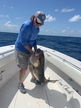 Amberjack fishing in Galveston, Texas