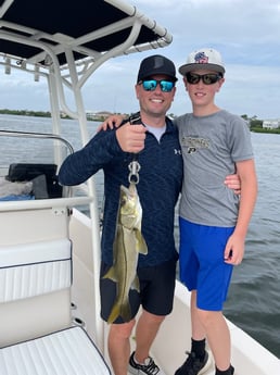 Snook Fishing in Sarasota, Florida