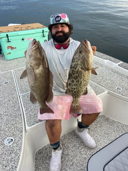 Gag Grouper fishing in Holmes Beach, Florida