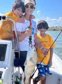 Black Drum fishing in Galveston, Texas