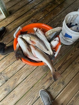 Fishing in Port O&#039;Connor, Texas