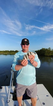 Black Drum fishing in St. Augustine, Florida