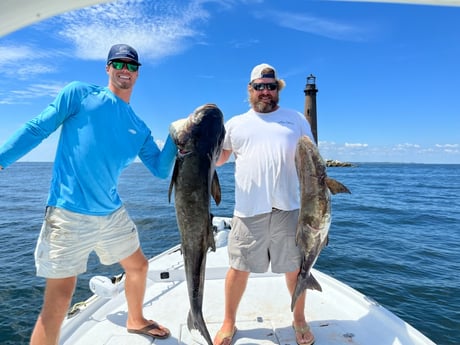 Cobia fishing in Orange Beach, Alabama