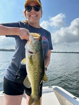 Largemouth Bass Fishing in Clearwater, Florida