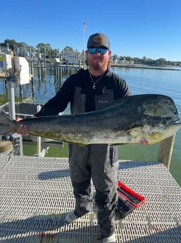 Mahi Mahi / Dorado Fishing in Santa Rosa Beach, Florida