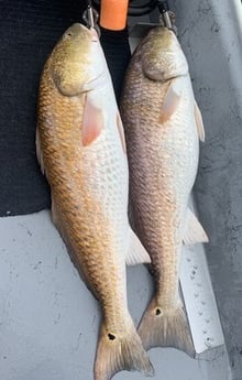 Redfish fishing in Port O&#039;Connor, Texas