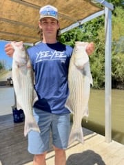 Hybrid Striped Bass Fishing in Anderson, California