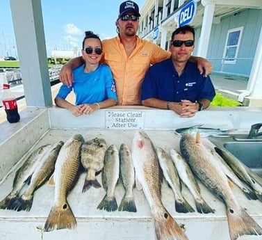 Redfish, Sheepshead, Speckled Trout / Spotted Seatrout fishing in Galveston, Texas