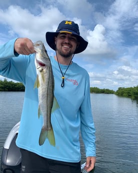 Snook fishing in Clearwater, Florida