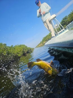 Fishing in Fort Lauderdale, Florida