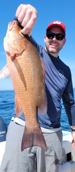 Red Snapper fishing in Panama City, Florida