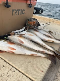 Fishing in Port Isabel, Texas