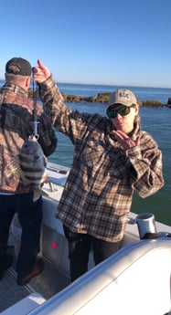 Sheepshead fishing in Galveston, Texas