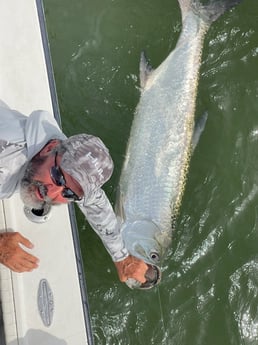 Tarpon fishing in Naples, Florida