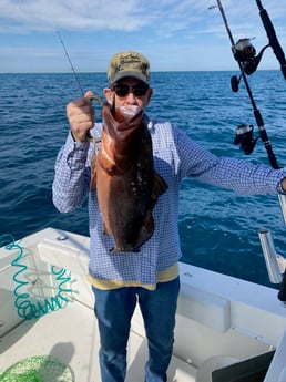 Red Grouper fishing in Marathon, Florida