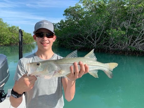 Snook Fishing in Key Largo, Florida