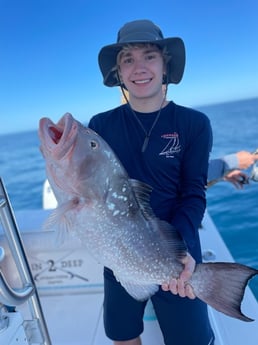 Red Grouper fishing in Sarasota, Florida