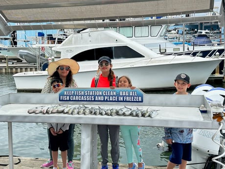 Spanish Mackerel Fishing in Destin, Florida