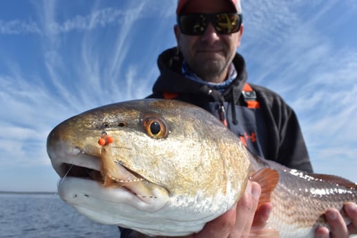 Redfish fishing in Tallahassee, Florida