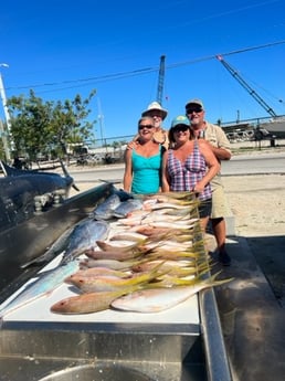 Little Tunny / False Albacore, Yellowtail Snapper Fishing in Marathon, Florida