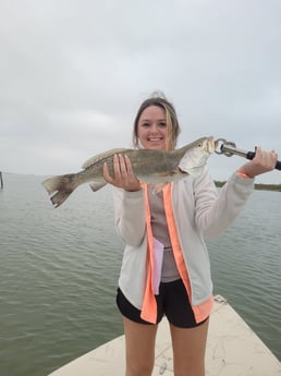 Speckled Trout / Spotted Seatrout fishing in Corpus Christi, Texas