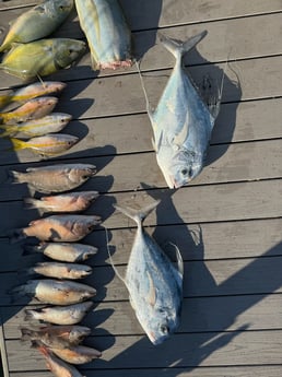 Fishing in Key Largo, Florida