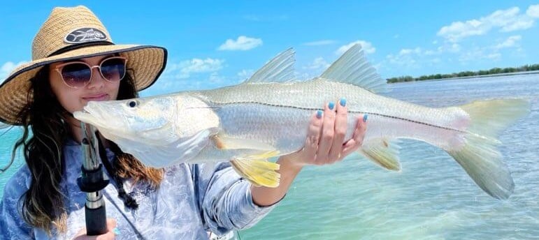 Snook fishing in Tavernier, Florida