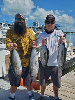 Blackfin Tuna Fishing in Islamorada, Florida