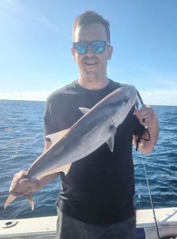 Amberjack Fishing in Clearwater, Florida