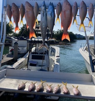 King Mackerel / Kingfish, Mutton Snapper, Yellowtail Snapper Fishing in Marathon, Florida