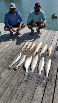 Redfish, Speckled Trout / Spotted Seatrout fishing in Port O&#039;Connor, Texas