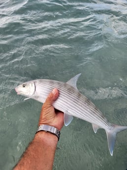 Fishing in Key Largo, Florida