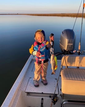 Speckled Trout / Spotted Seatrout fishing in Freeport, Texas