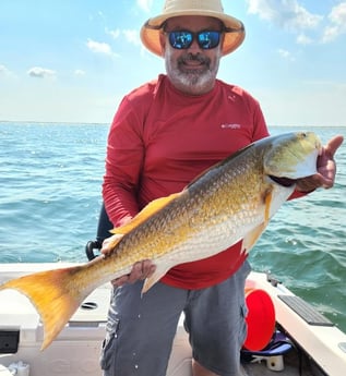 Redfish fishing in Galveston, Texas