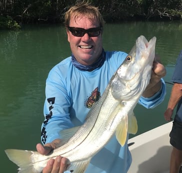 Snook Fishing in Islamorada, Florida