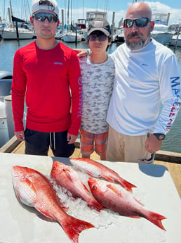 Red Snapper fishing in Pensacola, Florida